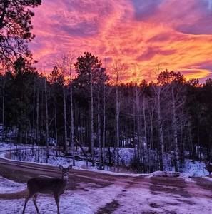 Meet your Posher, Shane